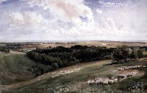 Parque Arundel, Sussex de Thomas Collier